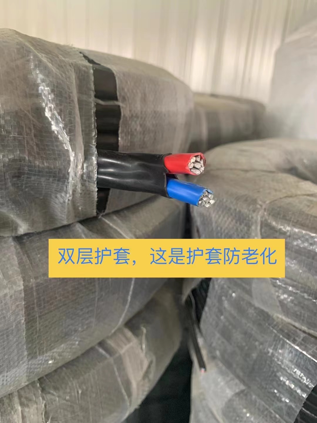 現(xiàn)貨·
